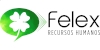 Felex Recursos Humanos